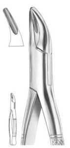  Fig. 2 upper and lower roots 
